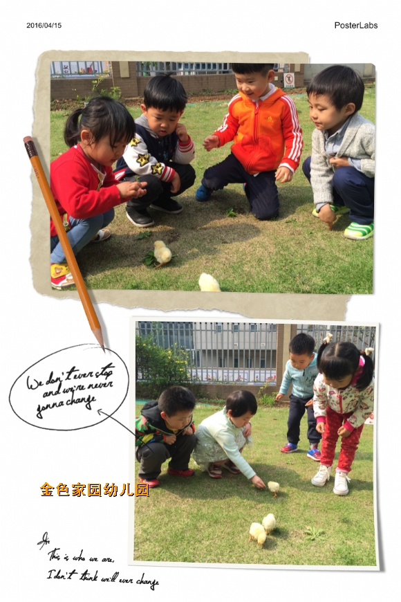 附件：IMG_7017.JPG