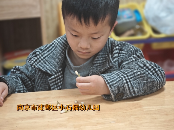 附件：IMG_20240408_100045.jpg