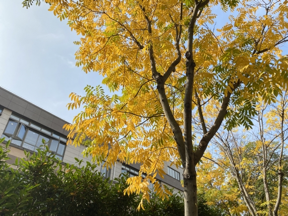 附件：658FD3C8A1F47DAED1039B1C19B8E880.png