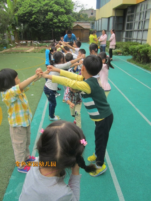 附件：IMG_6176.jpg
