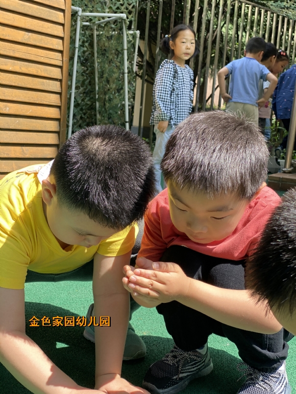 附件：IMG_9121.JPG