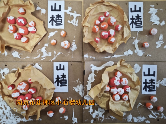 附件：QQ图片20231205143249.jpg