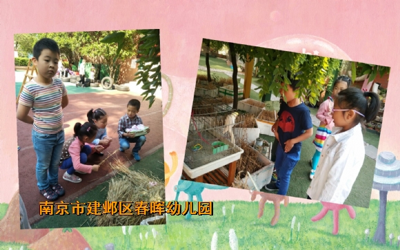 附件：conew_img_20170518_082422_conew1.jpg