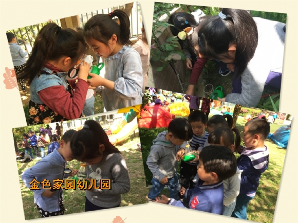 附件：IMG_2930_鍓湰.jpg