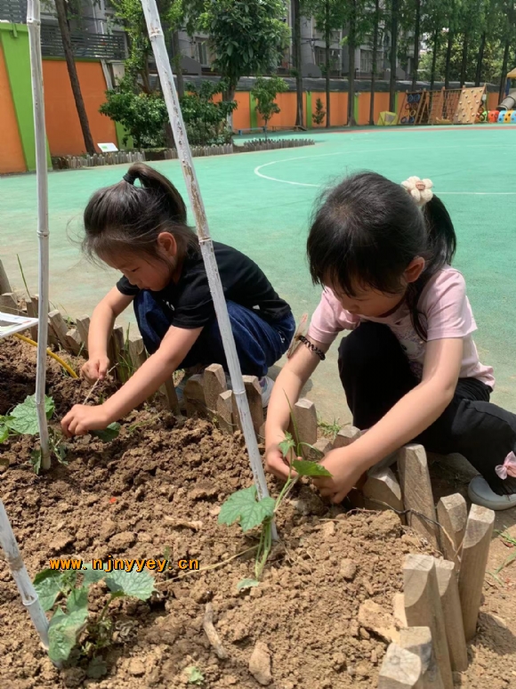 附件：61d99ea72927cffcc09a2cd3a235026.jpg