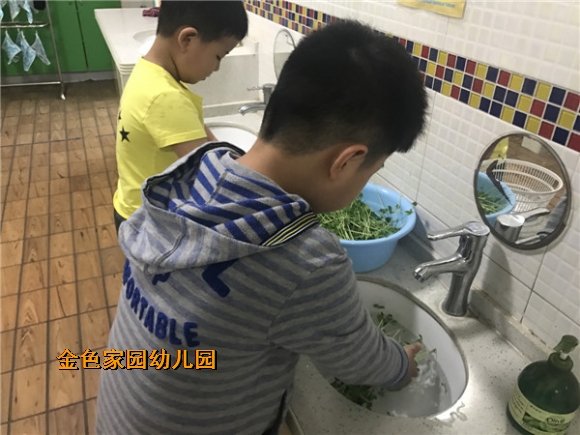 附件：IMG_1739.JPG