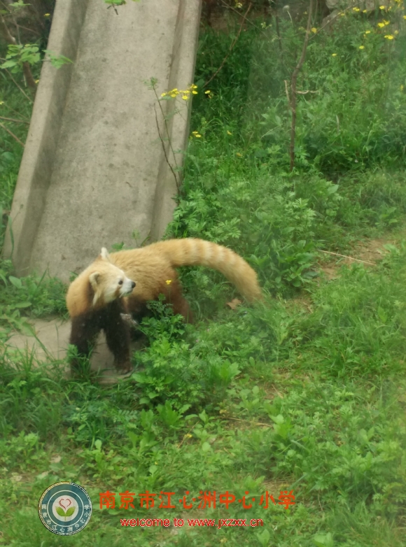 附件：IMG_20150416_104509.jpg