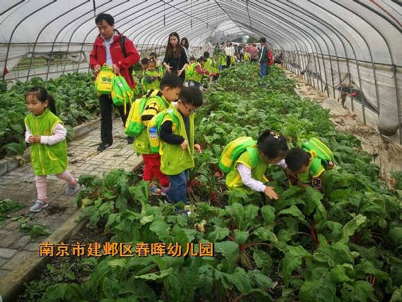 附件：IMG_20181016_101947_1.jpg