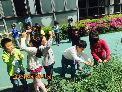 附件：11.jpg
