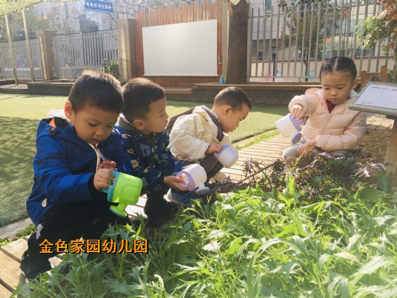 附件：IMG_E3753.JPG