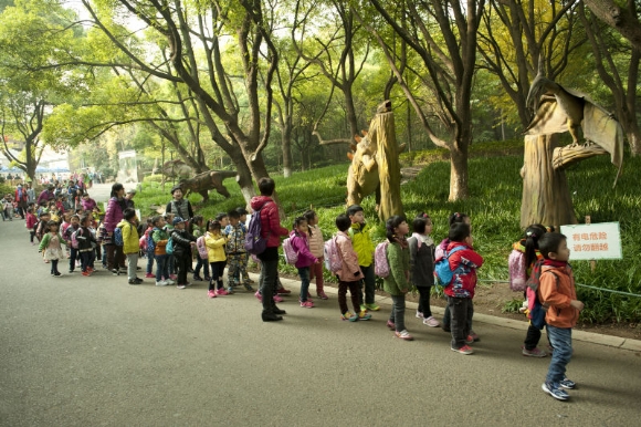 附件:IMG_4319.JPG 附件:IMG_4319.JPG