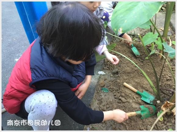 建邺教育信息网