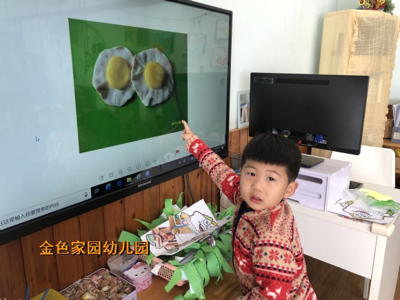 附件：IMG_3803.JPG