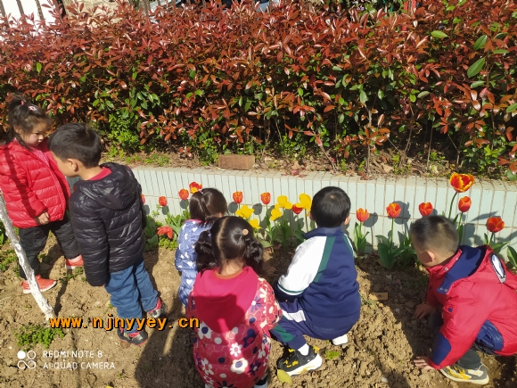 附件：1.4.jpg