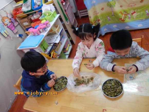 附件：conew_dscn3018.jpg