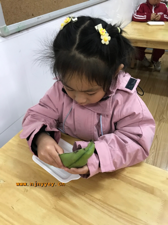 附件：微信图片_20210414152614.jpg