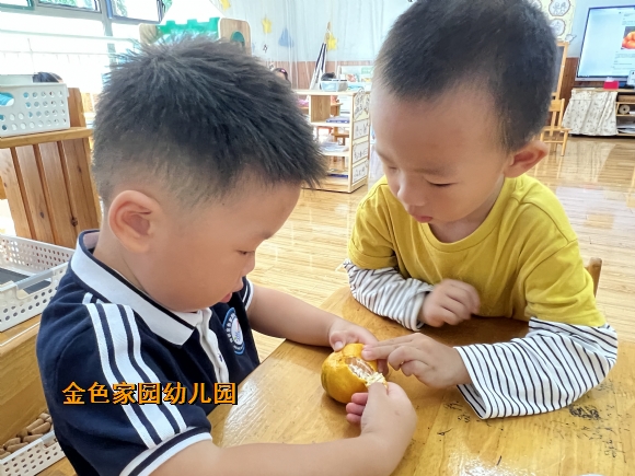 附件：IMG_5595.JPG