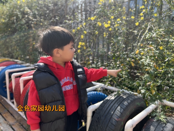 附件：2d5db0799486a40b55616cbb5937652.jpg