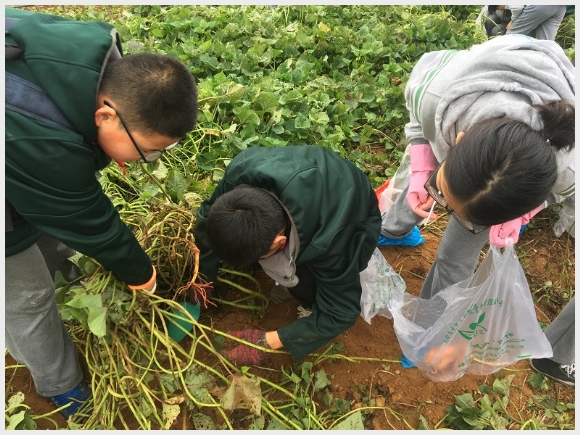 建邺教育信息网