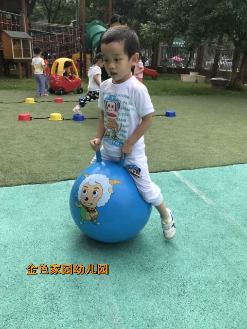 附件：IMG_0870.JPG