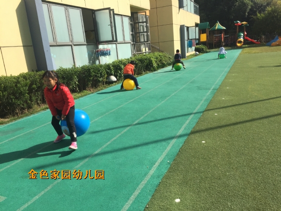 附件：IMG_5557.JPG
