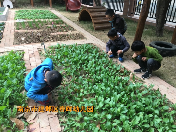附件：IMG_0948.JPG