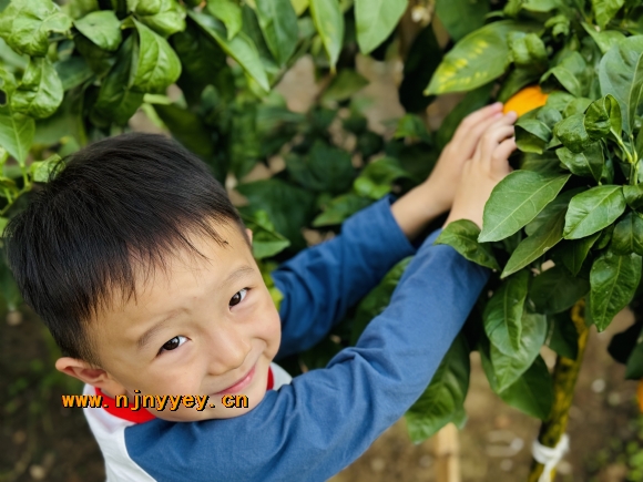 附件：IMG_0138.JPG