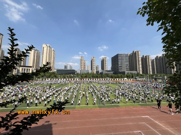 附件：IMG_4121(20240606-202230).JPG
