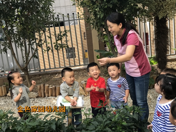 附件：IMG_1584.JPG