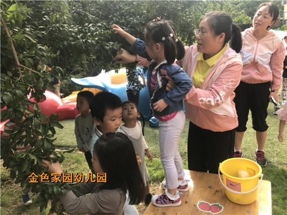 附件：3.JPG