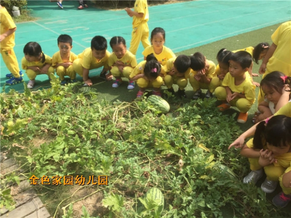 附件：IMG_5711.JPG