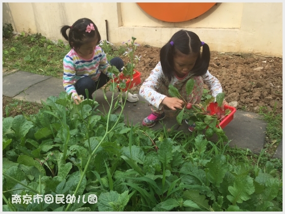 附件:IMG_8706.JPG 建邺教育信息网
