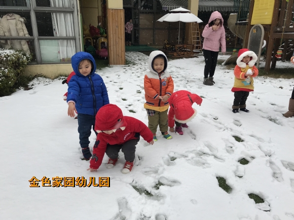附件：IMG_4635.JPG