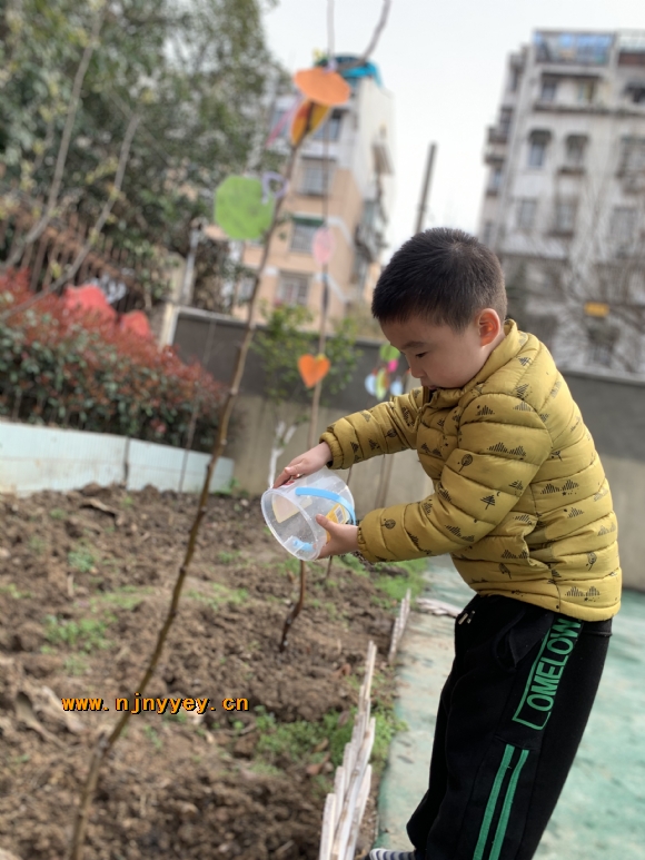 附件：IMG_6111.JPG