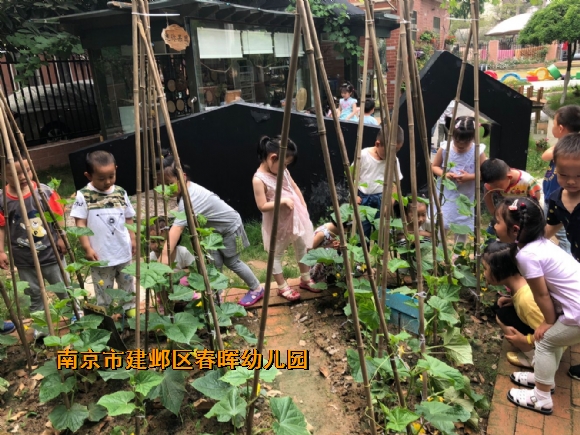 附件：QQ鍥剧墖20180518161240.jpg