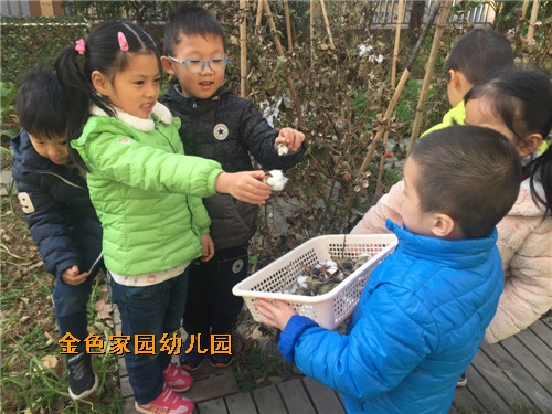 附件：IMG_7913_鍓湰1.jpg