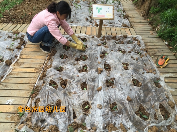 附件：IMG_4437.JPG
