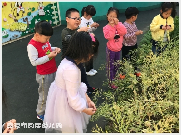 建邺教育信息网