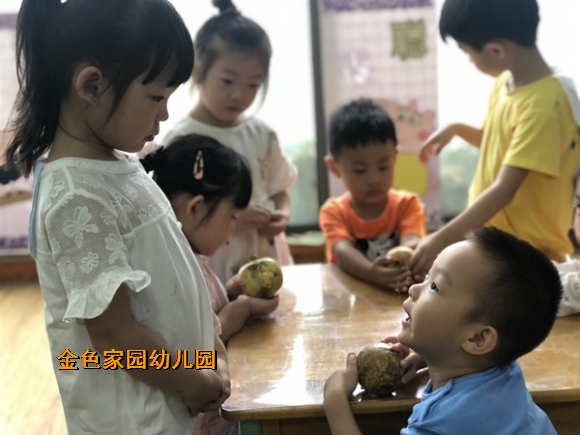 附件：a.jpg