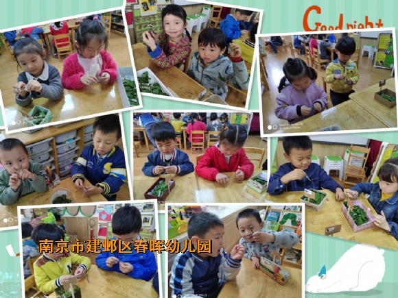 附件：1.jpg