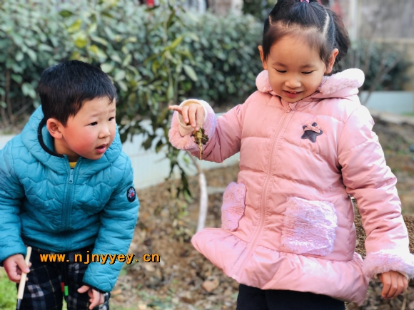 附件：IMG_0391.JPG
