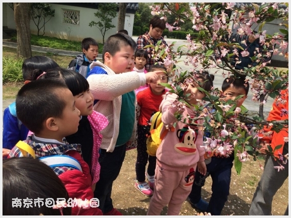 建邺教育信息网