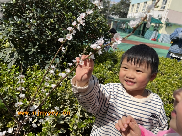附件：IMG_4326(1).JPG