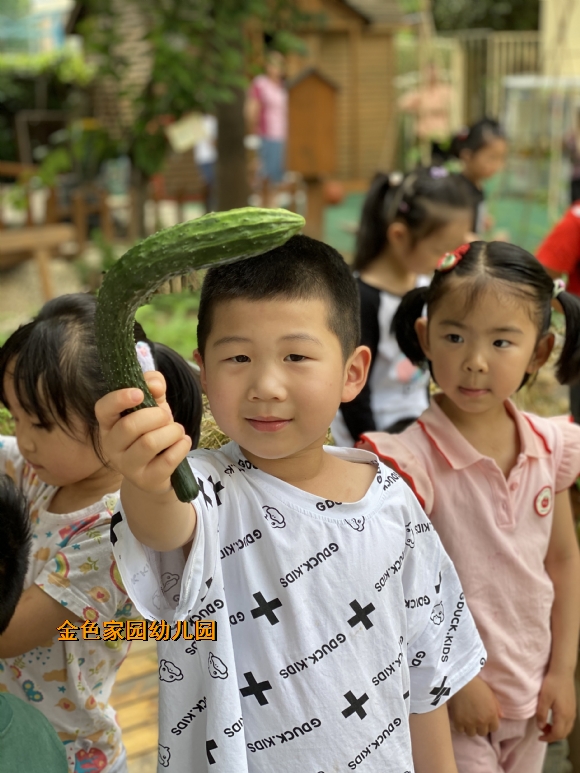 附件：IMG_8955.JPG