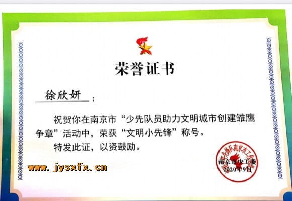 附件：市级雏鹰争章6.jpg