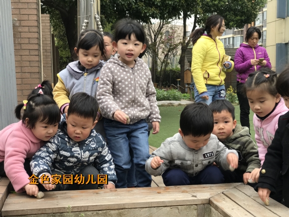 附件：IMG_6982.JPG