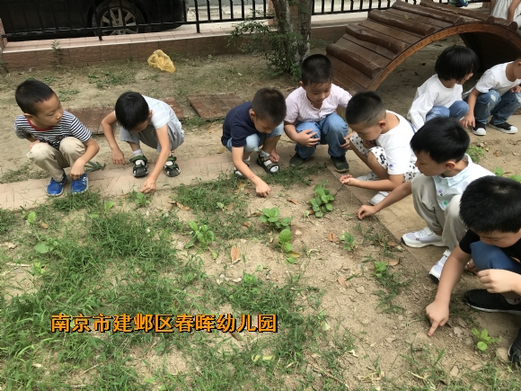 附件：IMG_1253.JPG