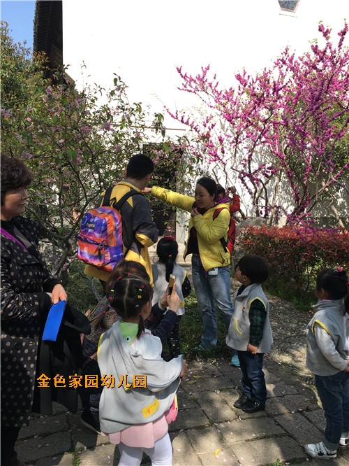 附件：IMG_3138.jpg