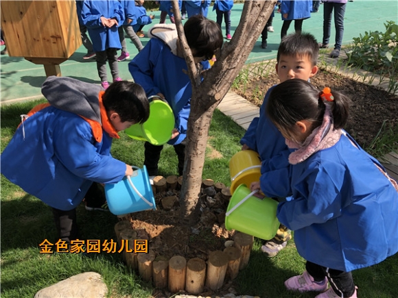 附件：IMG_0908.jpg