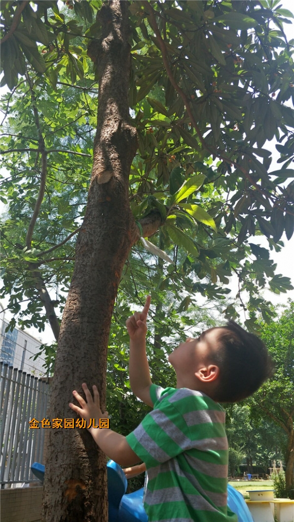 附件：C6E86CE6AFCF5AA114244E4654FD2960.jpg